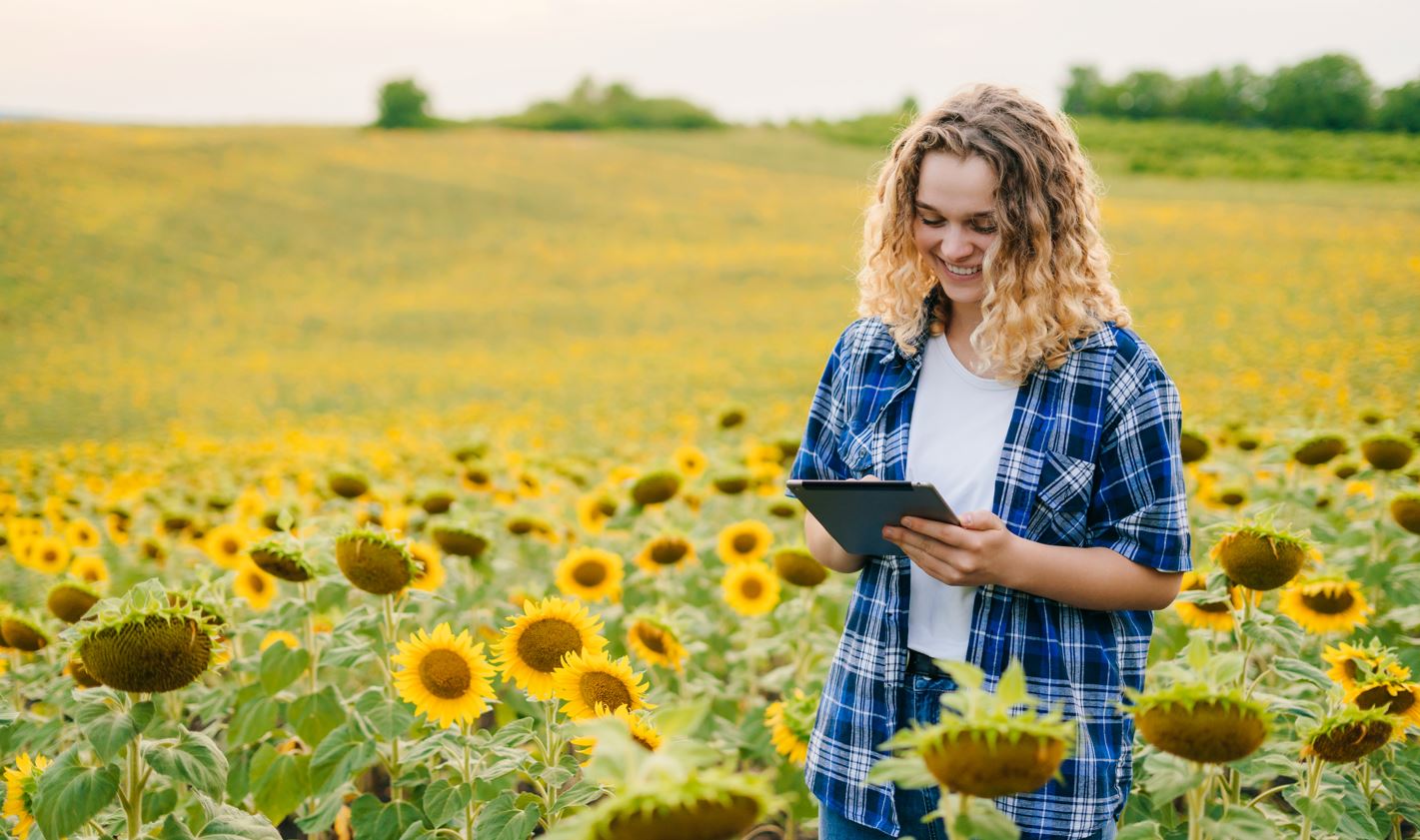 Woman in a sunflower field